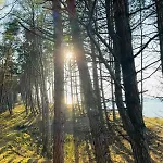 Zakatek Jedrka Pleśna