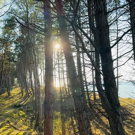 Zakatek Jedrka Pleśna