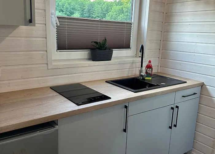 Zakatek Jedrka * Pleśna