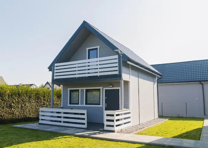 Zakatek Jedrka Pleśna