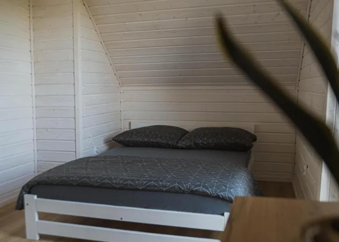 Zakatek Jedrka * Pleśna