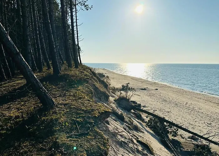 Zakatek Jedrka Pleśna