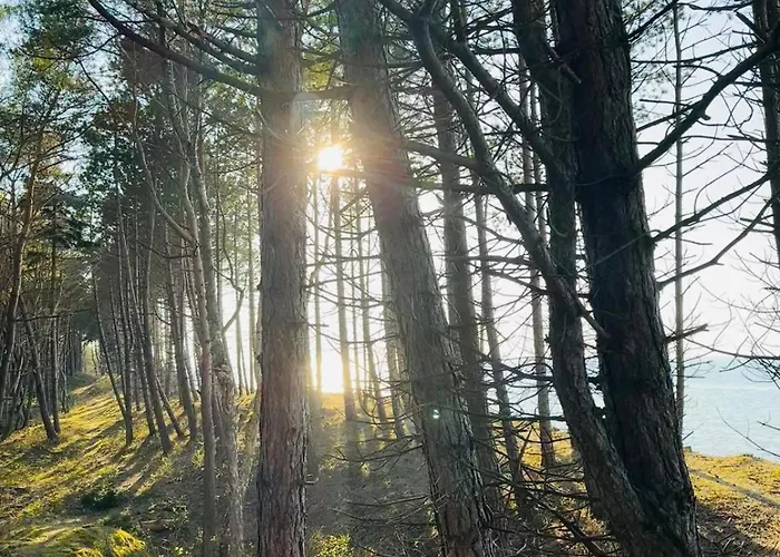 Zakatek Jedrka Pleśna