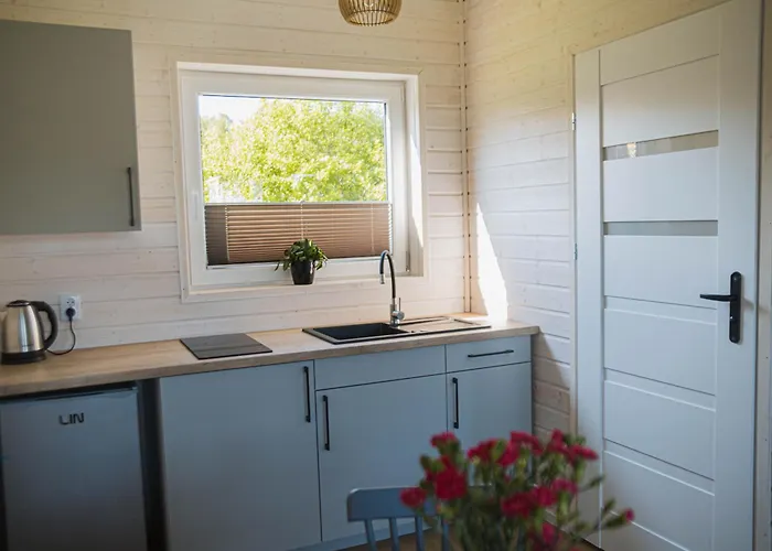 Zakatek Jedrka * Pleśna